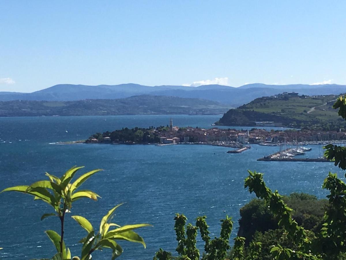 First Row To The Sea - Maremi Izola Apartment Terrace エクステリア 写真