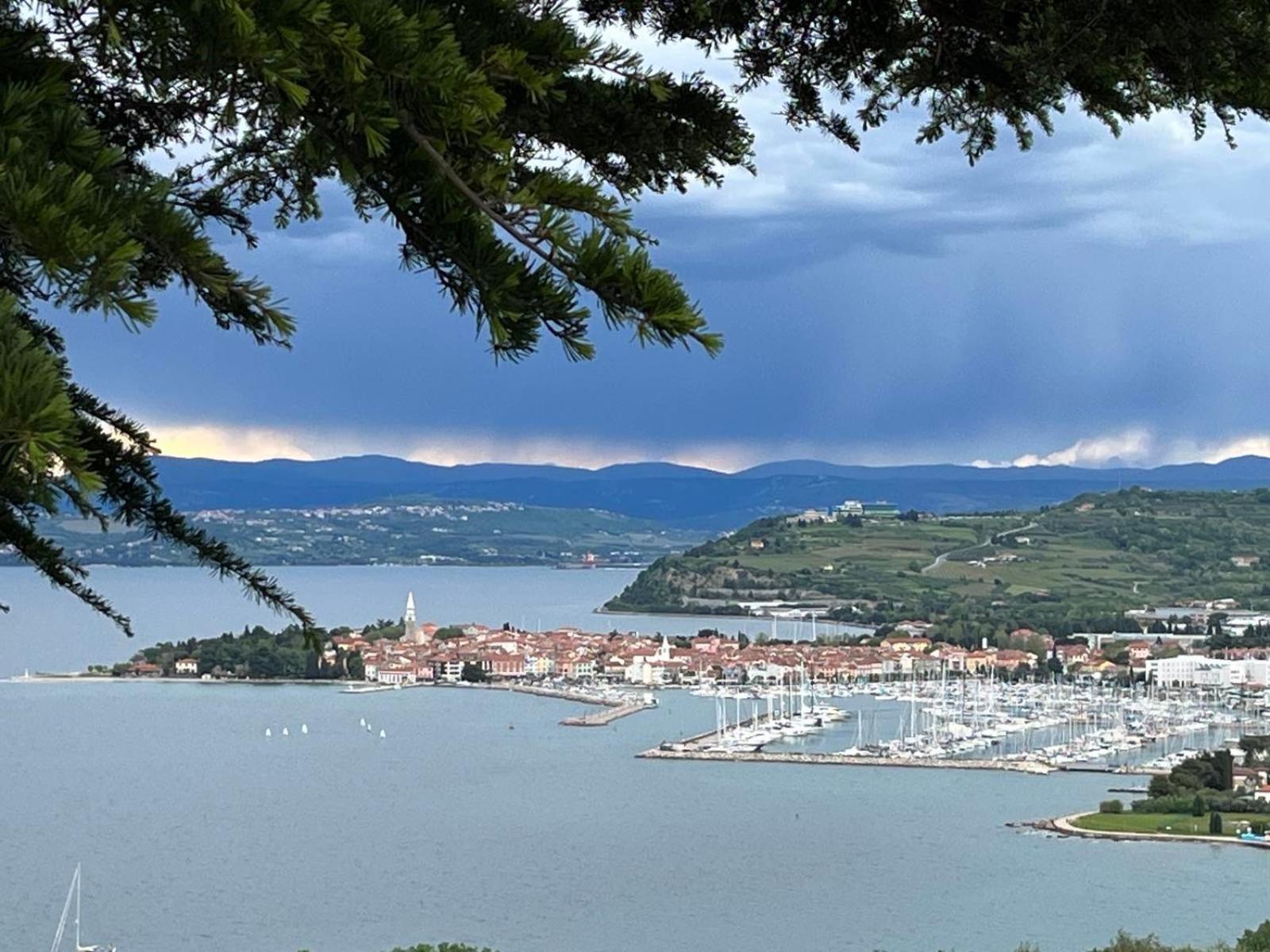 First Row To The Sea - Maremi Izola Apartment Terrace エクステリア 写真